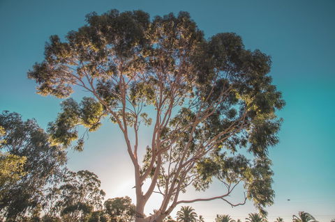 Seppelts View Cabins - Accommodation in Bendigo 24