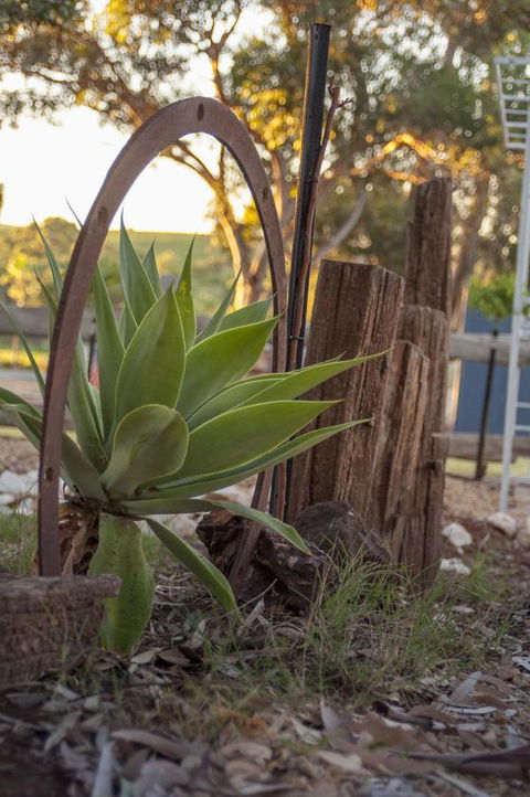 Seppelts View Cabins - Accommodation in Bendigo 37