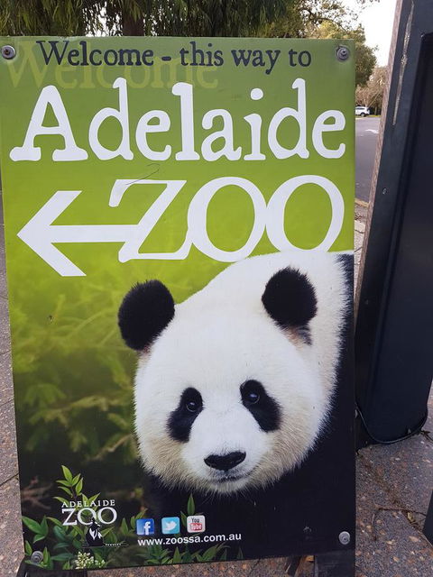 Adelaide Style Accommodation-Close To City-North Adelaide-3 Bdrm- FREE Parking - Accommodation in Bendigo 35