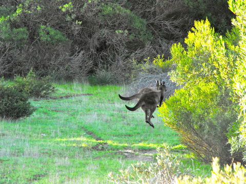 A Dune Escape - Accommodation in Bendigo 25