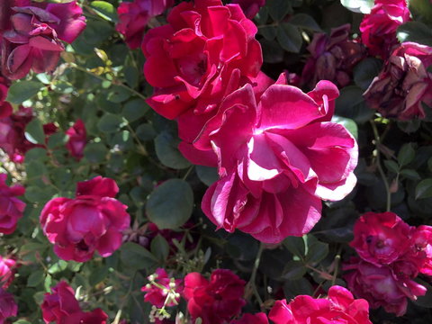 Blyth Cottage Burra - Accommodation in Bendigo 20