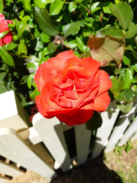 Blyth Cottage Burra - Accommodation in Bendigo 23