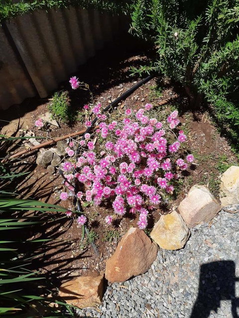 Blyth Cottage Burra - Accommodation in Bendigo 19