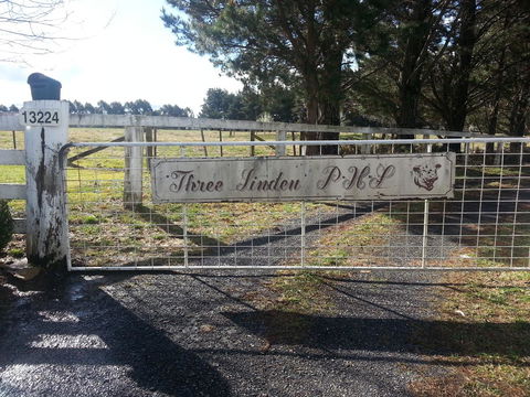 Three Linden - Accommodation in Bendigo 6