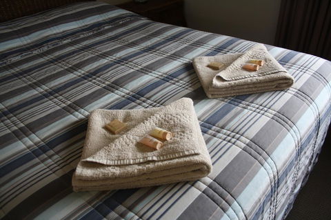 Isis Motel Scone - Accommodation in Bendigo 3