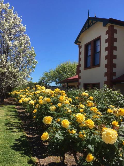 Wine And Roses Bed And Breakfast - Accommodation in Bendigo 5