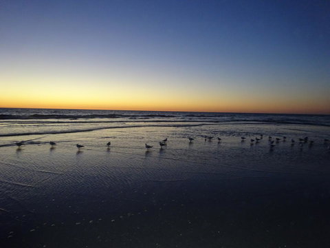 Selene Holiday Apartment @West Beach - Accommodation in Bendigo 6