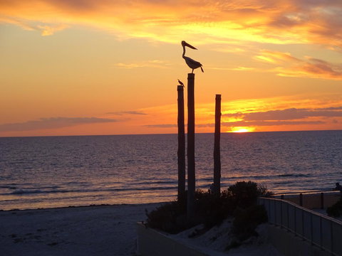 Selene Holiday Apartment @West Beach - Accommodation in Bendigo 2