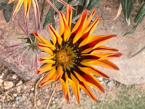 Aussie Opal Diggers Outback Retreat-Undergound - Accommodation in Bendigo 26