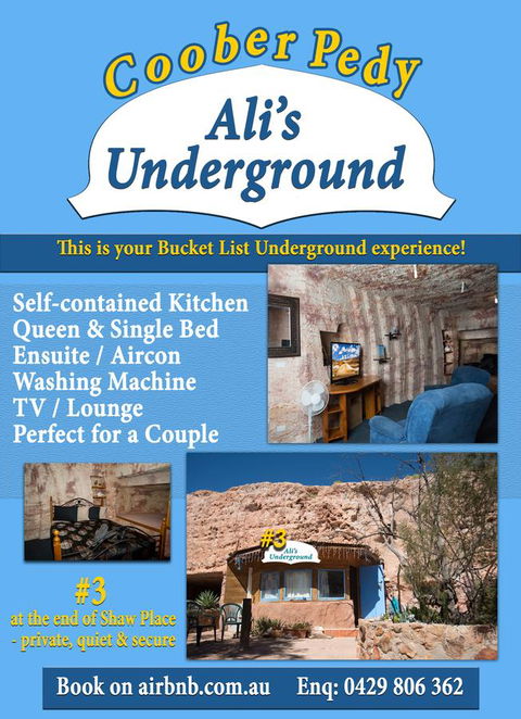 Ali\'s Underground Studio - Accommodation in Bendigo 12