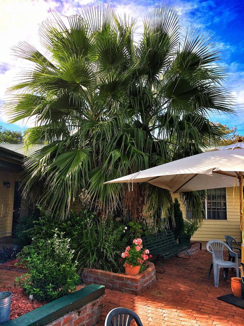Ten Dollar Town Motel - Accommodation in Bendigo 17