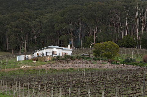 Esto House - Accommodation in Bendigo 3
