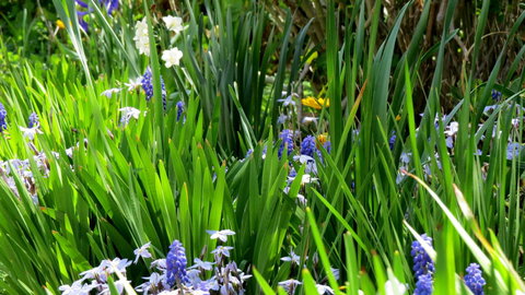 The Pig And Whistle - Accommodation in Bendigo 23