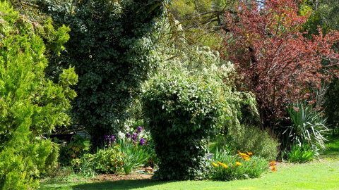 The Pig And Whistle - Accommodation in Bendigo 19