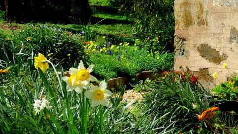 The Pig And Whistle - Accommodation in Bendigo 20