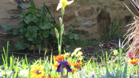 The Pig And Whistle - Accommodation in Bendigo 17