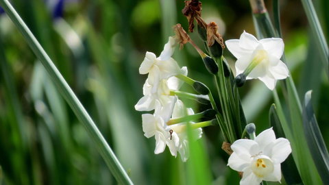 The Pig And Whistle - Accommodation in Bendigo 21