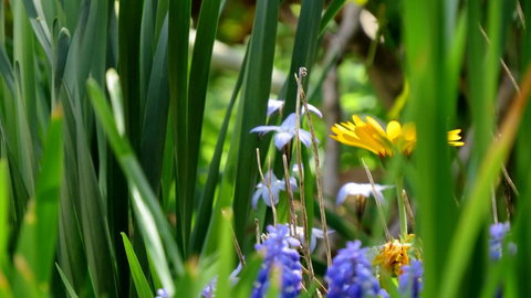 The Pig And Whistle - Accommodation in Bendigo 22