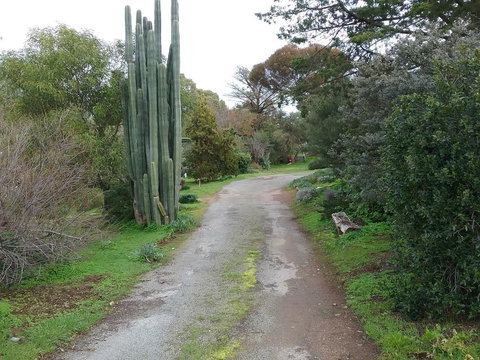 The Pig And Whistle - Accommodation in Bendigo 37