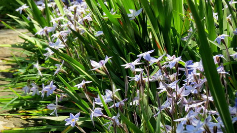 The Pig And Whistle - Accommodation in Bendigo 24