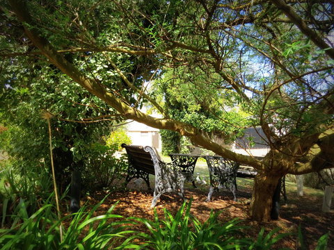 The Pig And Whistle - Accommodation in Bendigo 4