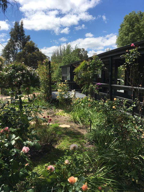 Hilltop Too - Accommodation in Bendigo 4