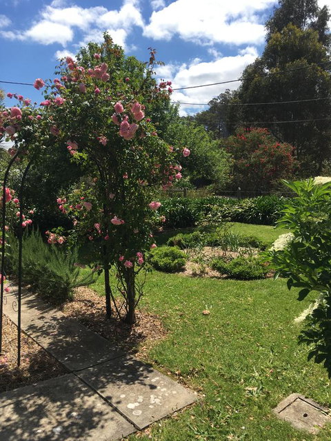 Hilltop Too - Accommodation in Bendigo 13