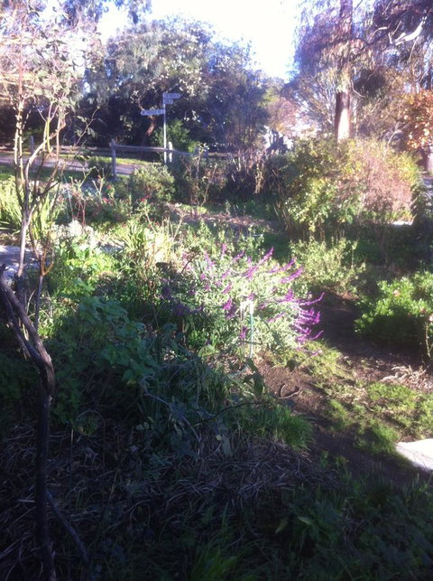 Hilltop Too - Accommodation in Bendigo 12