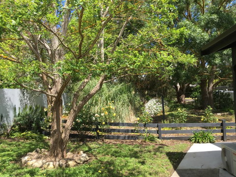 Hilltop Too - Accommodation in Bendigo 7