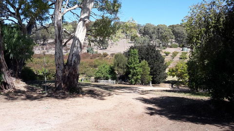 Taralee Orchards - Accommodation in Bendigo 3