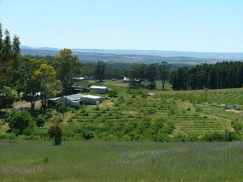 Taralee Orchards - Accommodation in Bendigo 0