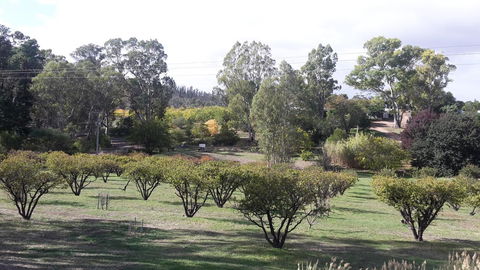 Taralee Orchards - Accommodation in Bendigo 1