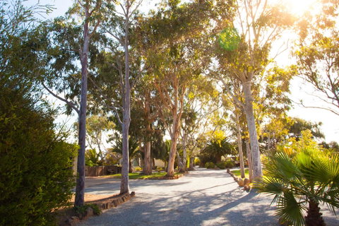Modra\'s Apartments - Accommodation in Bendigo 0