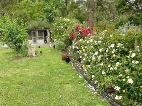 Camawald Coonawarra Cottage B&B - Accommodation in Bendigo 3