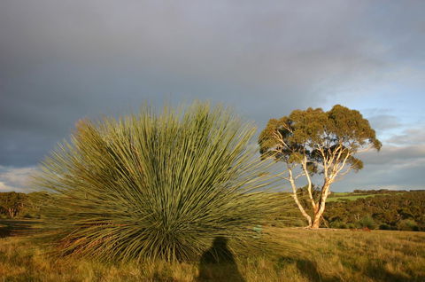 Ecopia Retreat - Accommodation in Bendigo 23