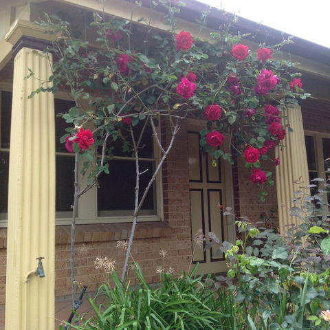 Oats Cottage - Accommodation in Bendigo 3