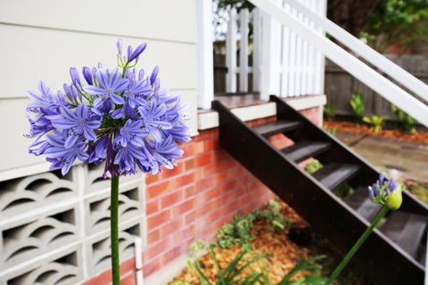 Hudson Bay @ Basin View-Pet Friendly-15 Mins To Hyams Beach - Accommodation in Bendigo 38