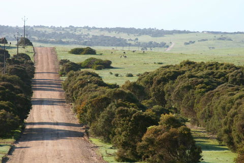 Almonta Park Lodge - Accommodation in Bendigo 1