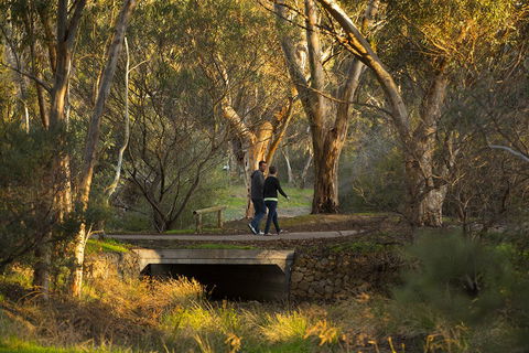 BIG 4 Barossa Tourist Park - Accommodation in Bendigo 26