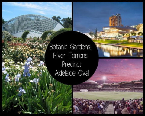 Project BNB On York - Accommodation in Bendigo 13