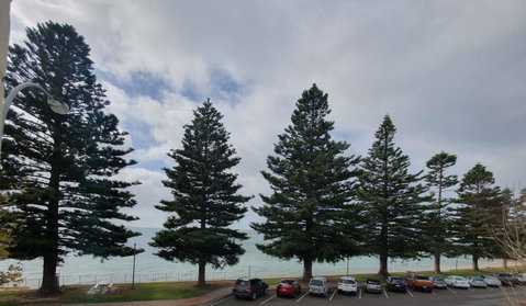 Pier Hotel Port Lincoln - Accommodation in Bendigo 12