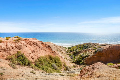 Salomon Sea Haus - Sellicks Beach - C21 SouthCoast Holidays - Accommodation in Bendigo 1