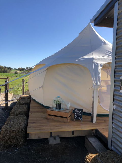 Bukirk Glamping & Fancy Coops - Accommodation in Bendigo 11