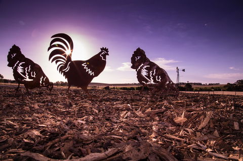 Bukirk Glamping & Fancy Coops - Accommodation in Bendigo 34