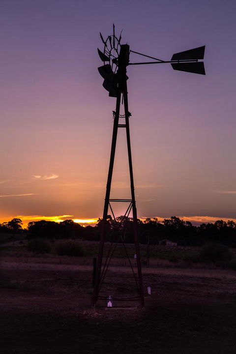 Bukirk Glamping & Fancy Coops - Accommodation in Bendigo 31