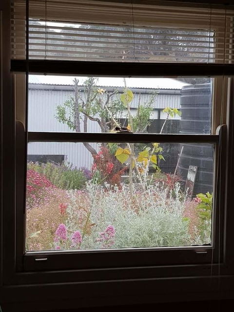 Sinclair Cottage - Accommodation in Bendigo 24
