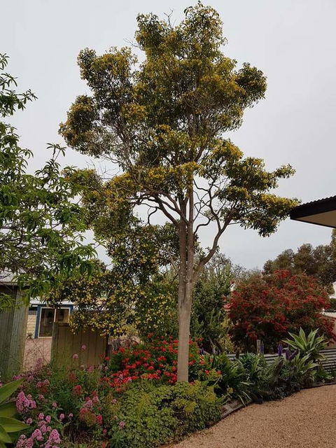 Sinclair Cottage - Accommodation in Bendigo 25