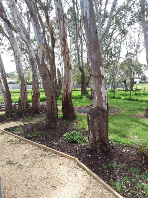Cloisters Of Kalangadoo - Accommodation in Bendigo 6