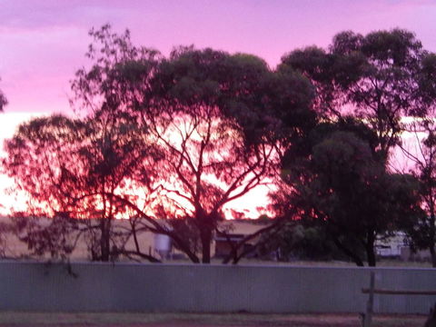 Wudinna Gawler Ranges Motel And Caravan Park - Accommodation in Bendigo 11