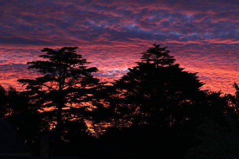 Pirralilla Estate Adelaide Hills - Accommodation in Bendigo 26